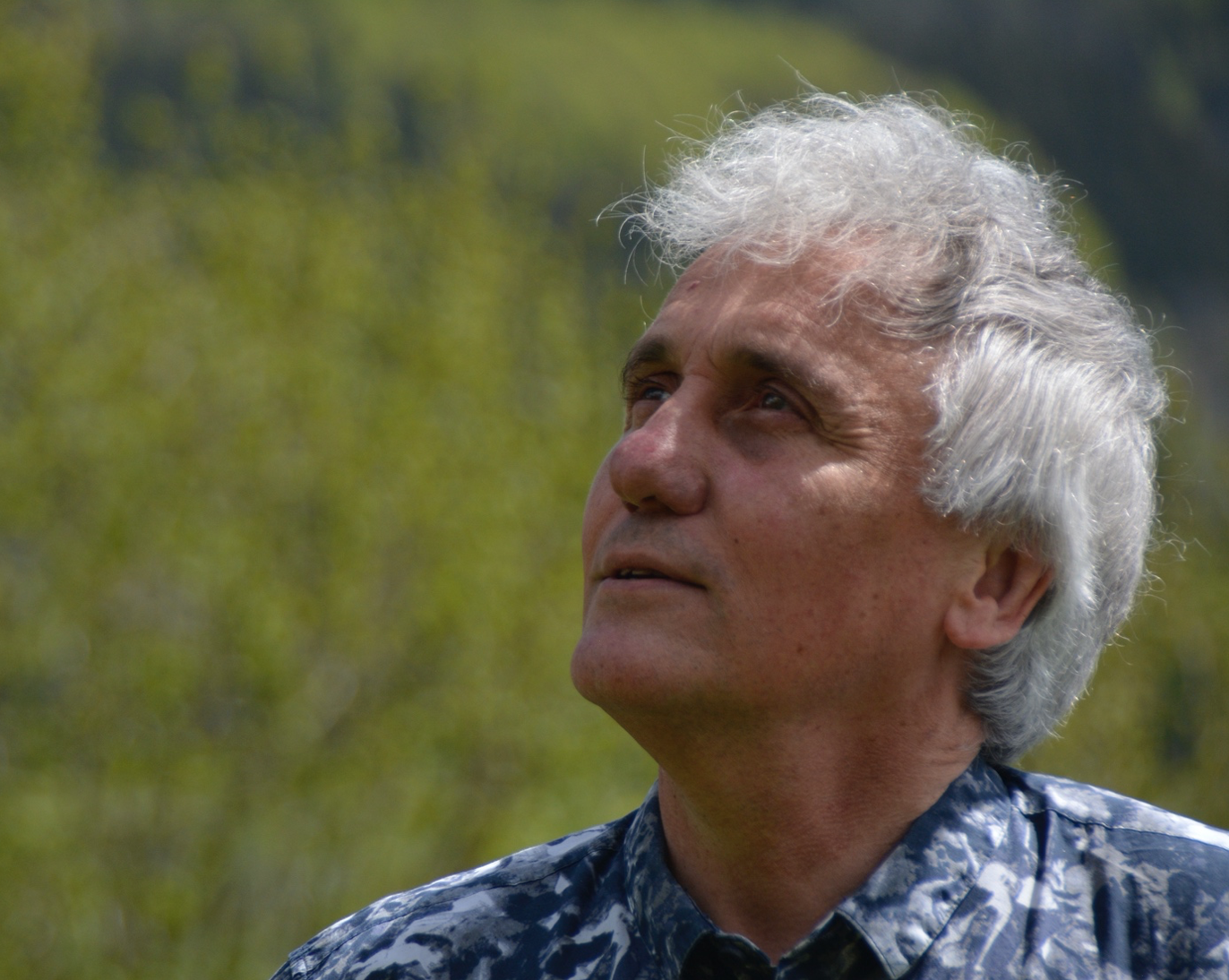 Jean-Marc Chomaz - Useful Fictions