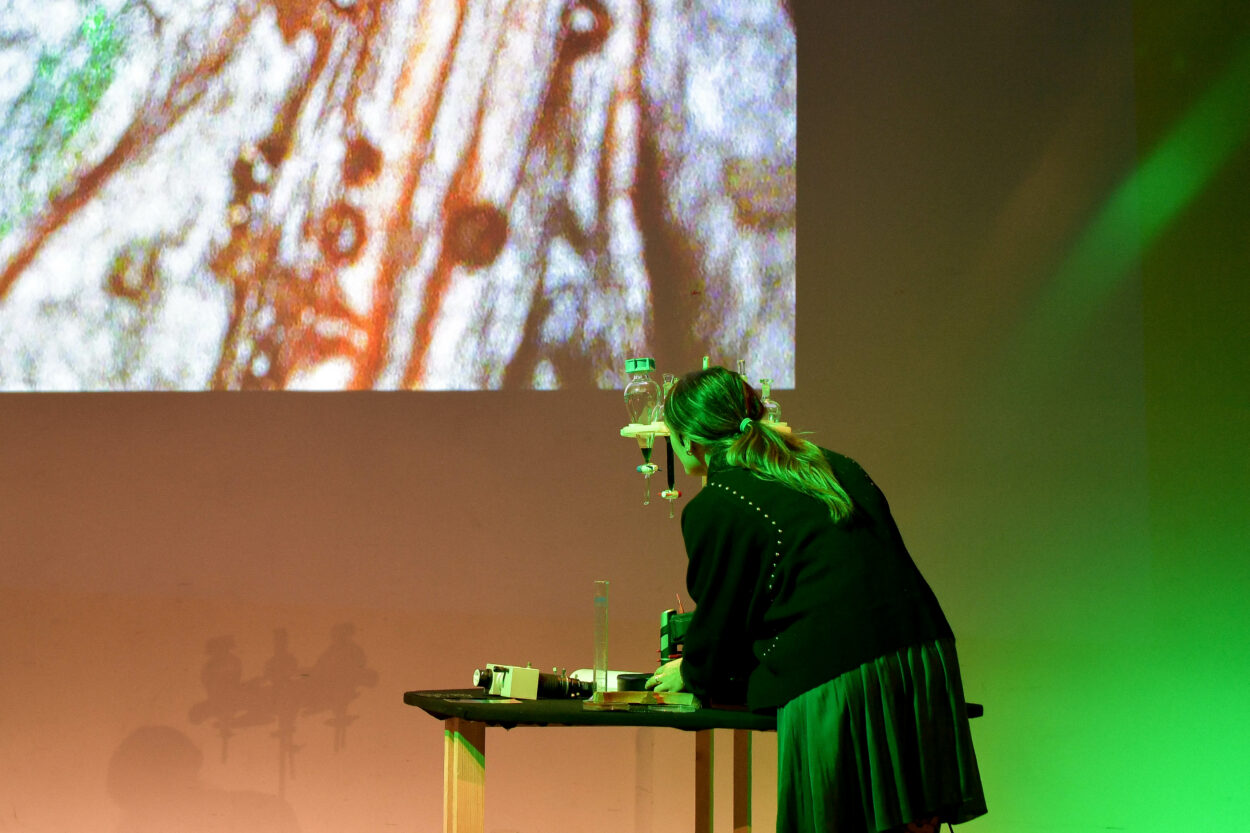 Anouk Daguin - Useful Fictions