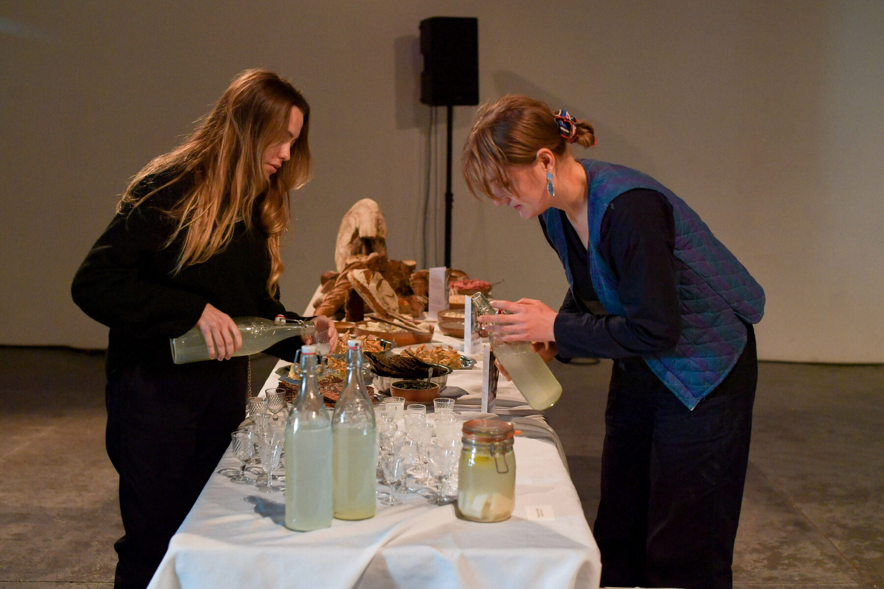 Anouk Daguin - Useful Fictions