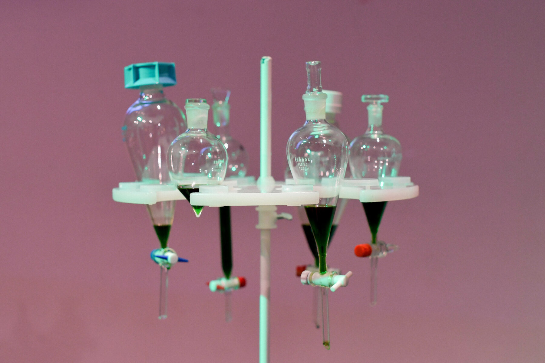 Anouk Daguin - Useful Fictions