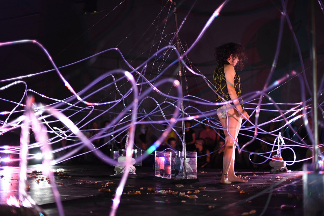 Aniara Rodado - Useful Fictions