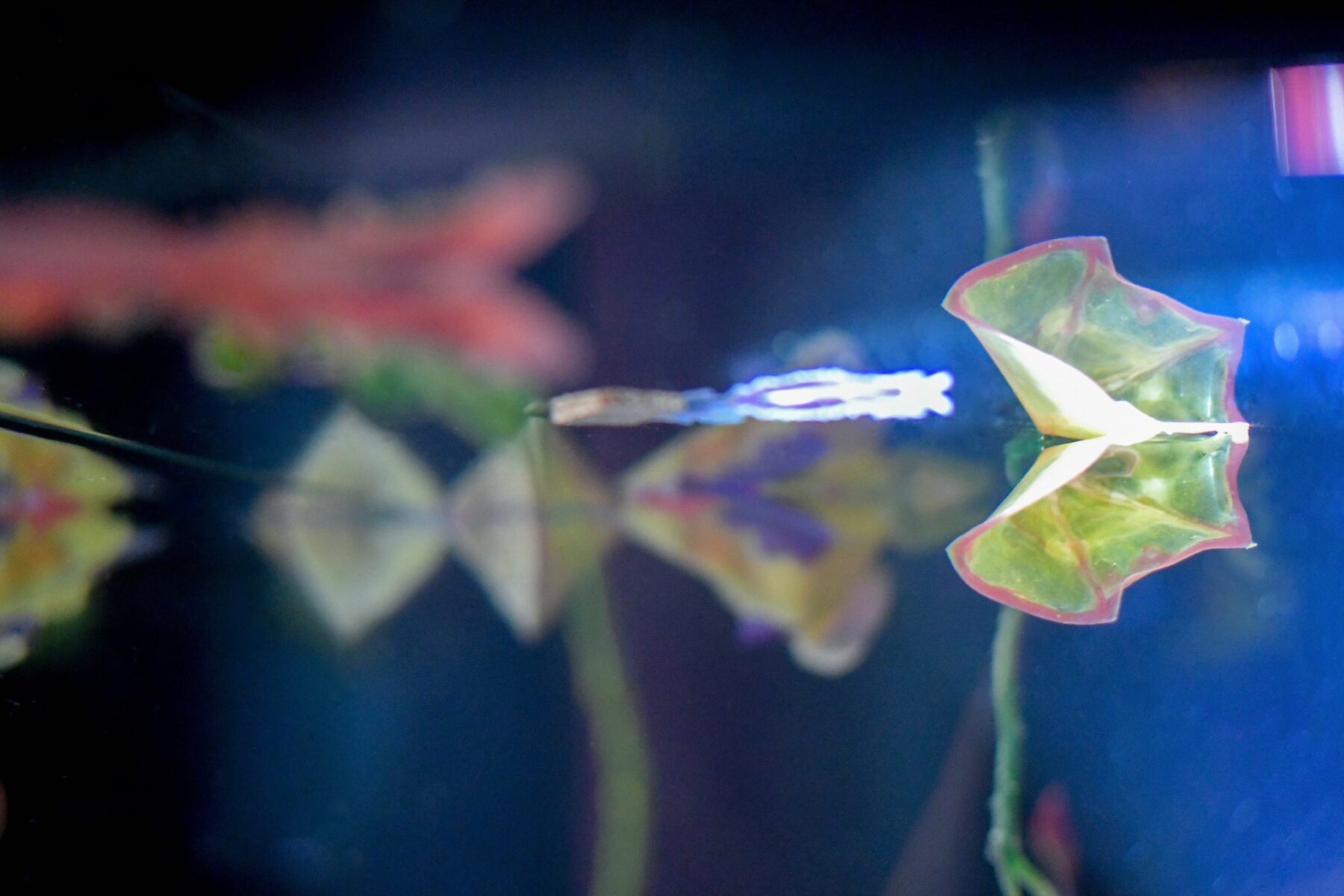 Useful Fictions •4 – Faire corps ; corps empêché, corps augmenté, corps social - Useful Fictions