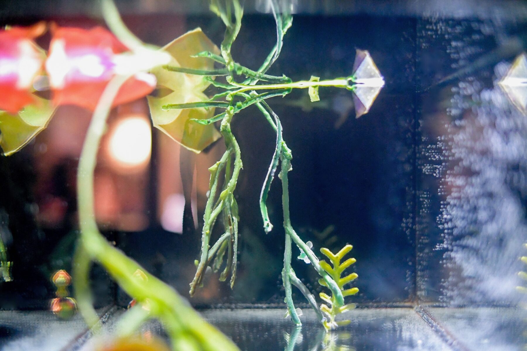 Useful Fictions •4 – Faire corps ; corps empêché, corps augmenté, corps social - Useful Fictions