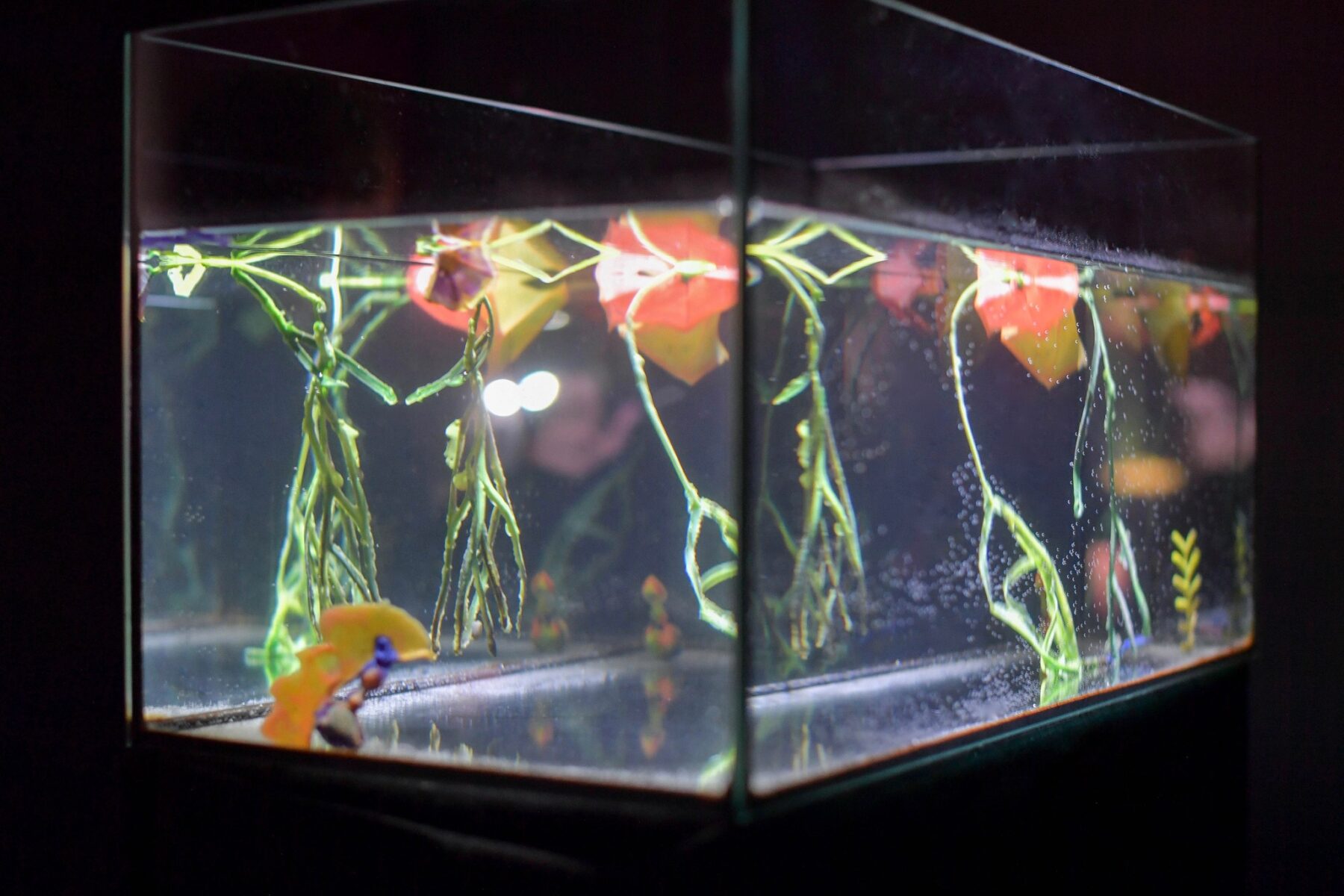 Useful Fictions •4 – Faire corps ; corps empêché, corps augmenté, corps social - Useful Fictions