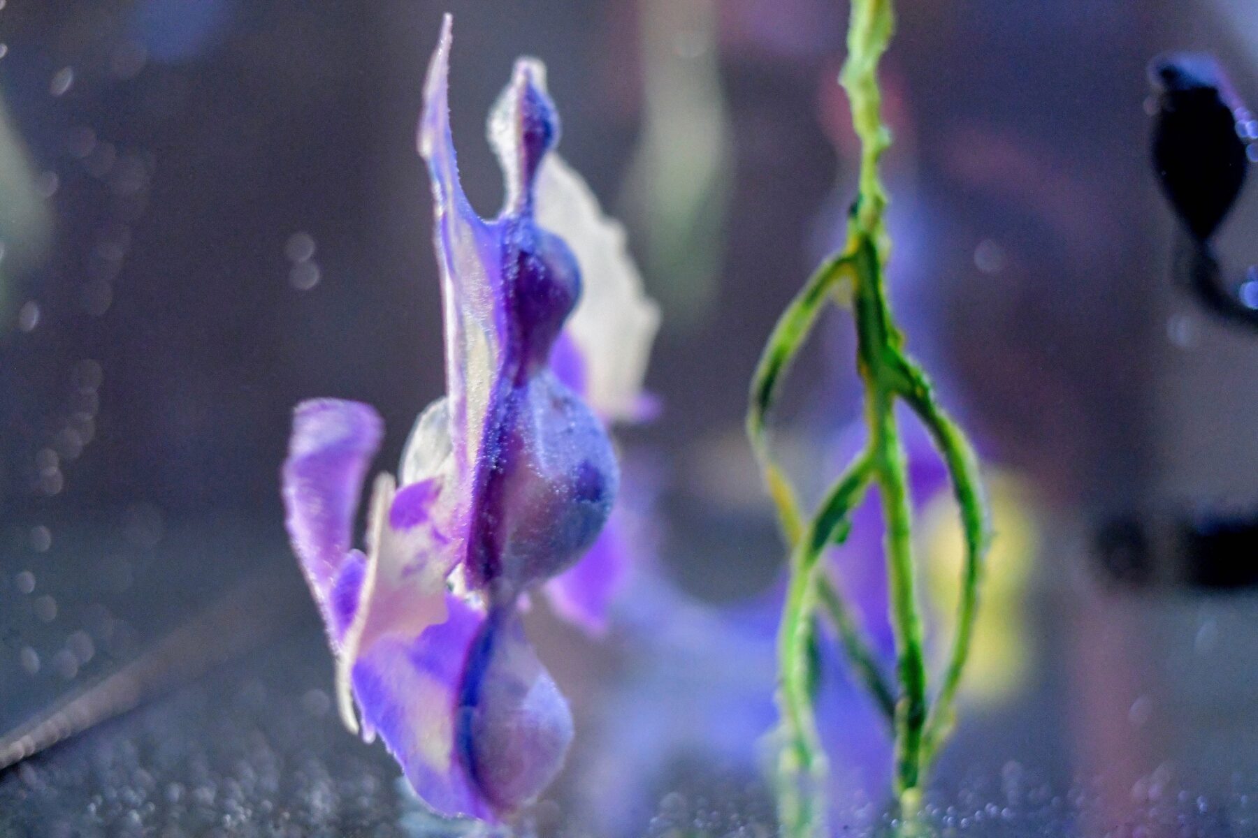 Useful Fictions •4 – Faire corps ; corps empêché, corps augmenté, corps social - Useful Fictions