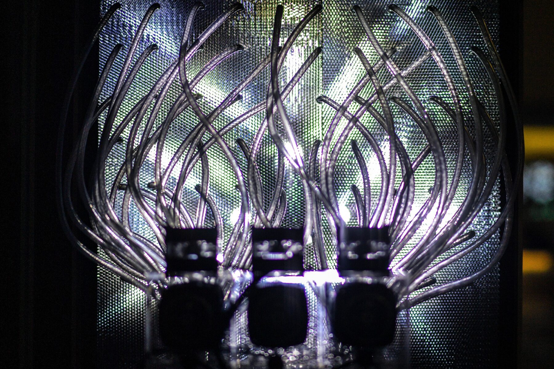 Et mainte page blanche entre ses mains froissée - Useful Fictions