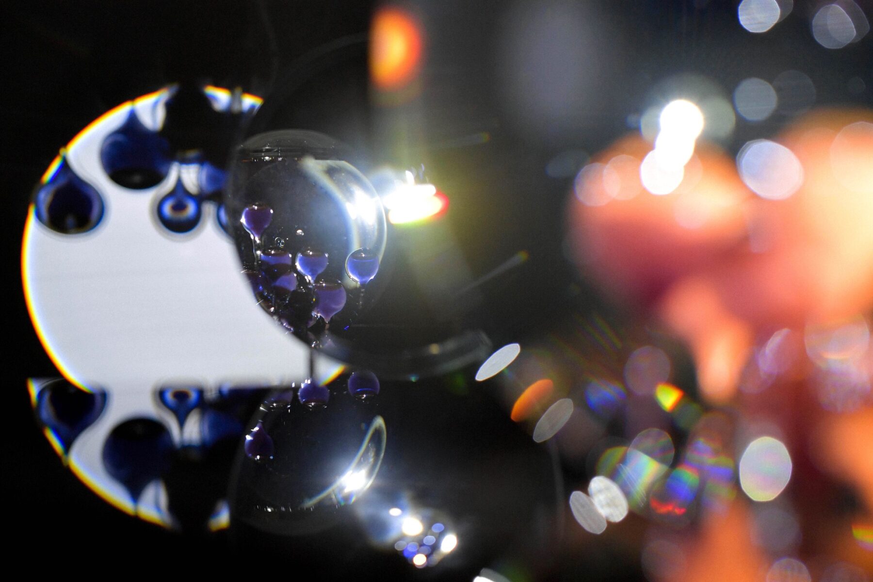 Volvox – Plonger dans la lumière - Useful Fictions