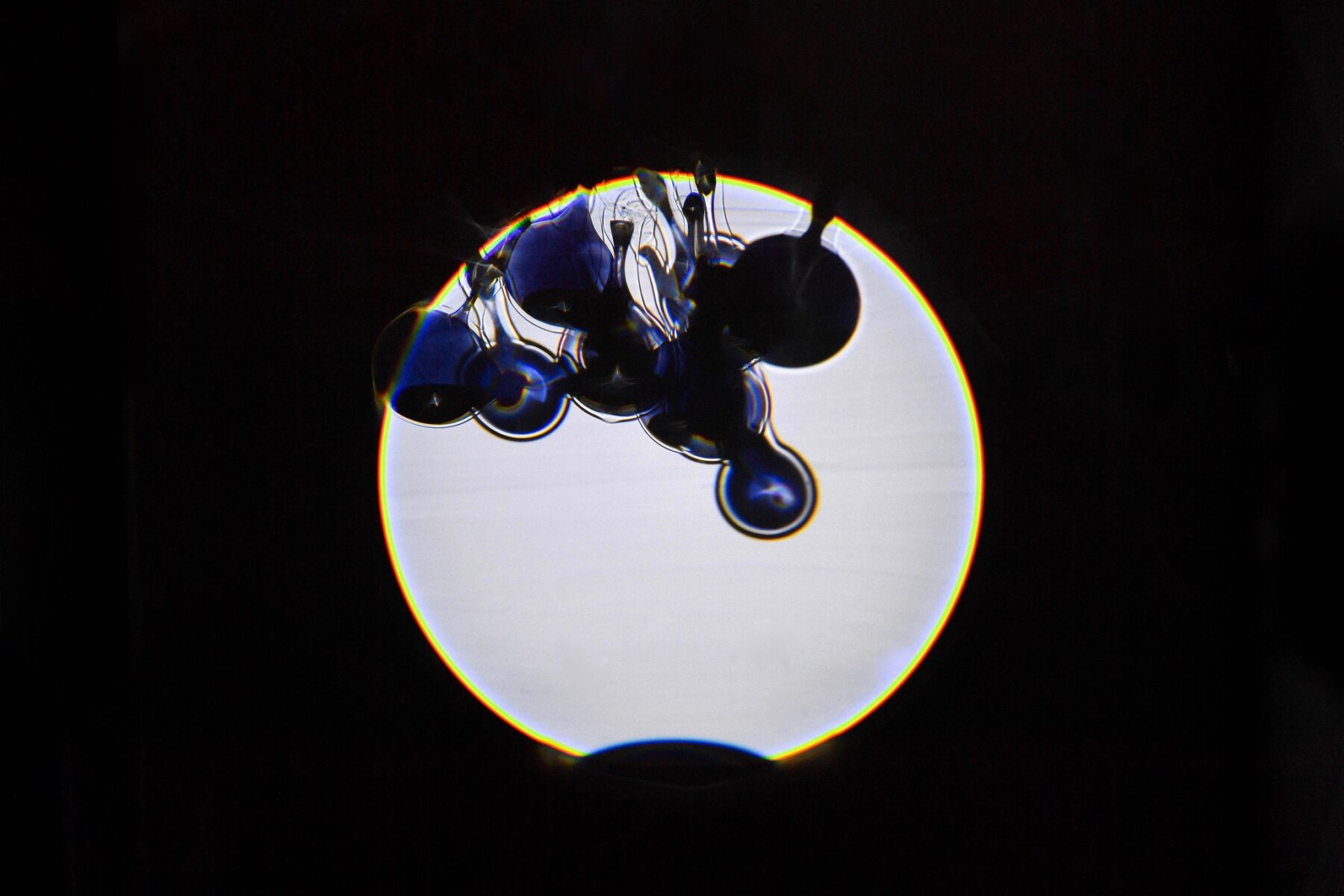 Volvox – Plonger dans la lumière - Useful Fictions