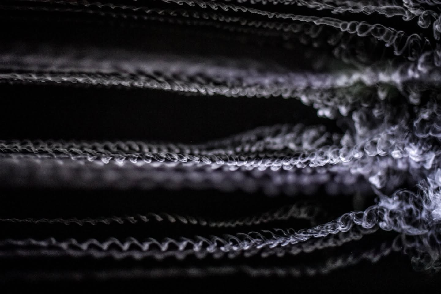 Et mainte page blanche entre ses mains froissée - Useful Fictions