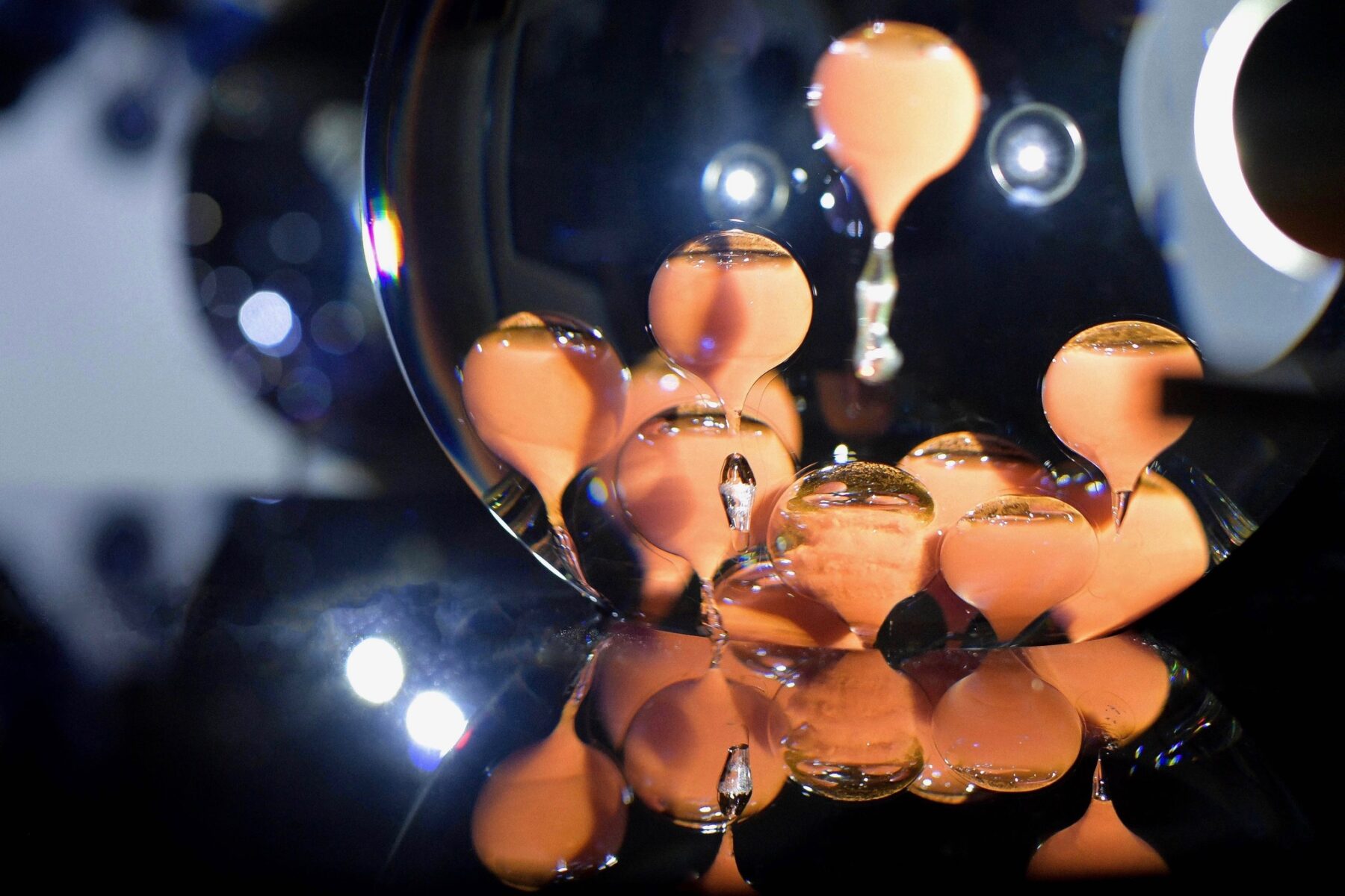 Volvox – Plonger dans la lumière - Useful Fictions