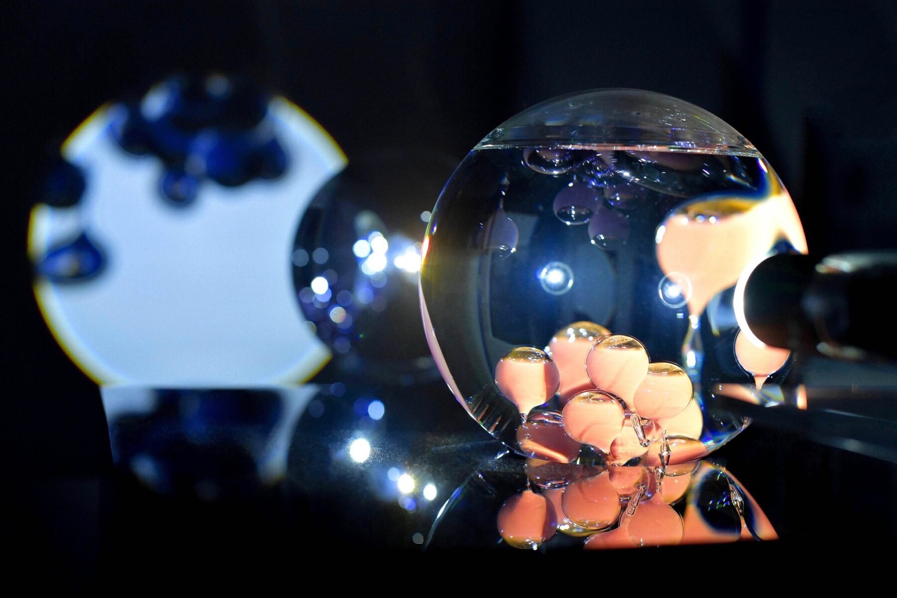 Volvox – Plonger dans la lumière - Useful Fictions