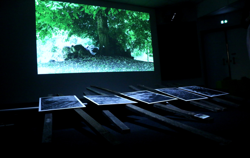 Useful Fictions • 2 : Prendre racine  Poitiers | 4-11.07.2021 - Useful Fictions