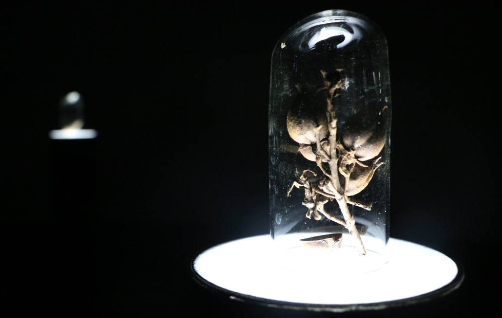 Useful Fictions • 2 : Prendre racine  Poitiers | 4-11.07.2021 - Useful Fictions