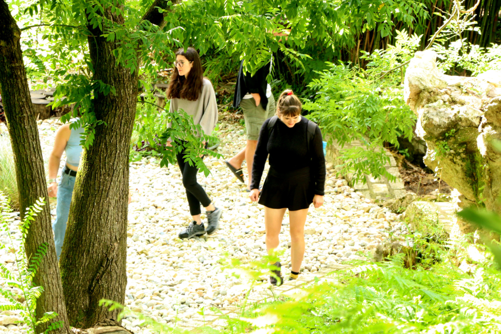 Useful Fictions • 2 : Prendre racine  Poitiers | 4-11.07.2021 - Useful Fictions