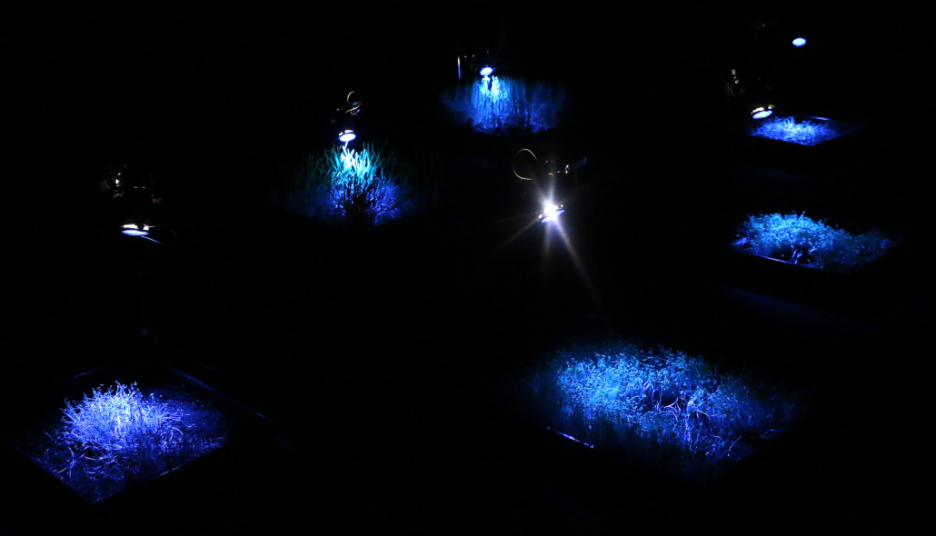 Useful Fictions • 2 : Prendre racine  Poitiers | 4-11.07.2021 - Useful Fictions