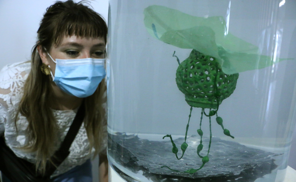 Useful Fictions • 2 : Prendre racine  Poitiers | 4-11.07.2021 - Useful Fictions