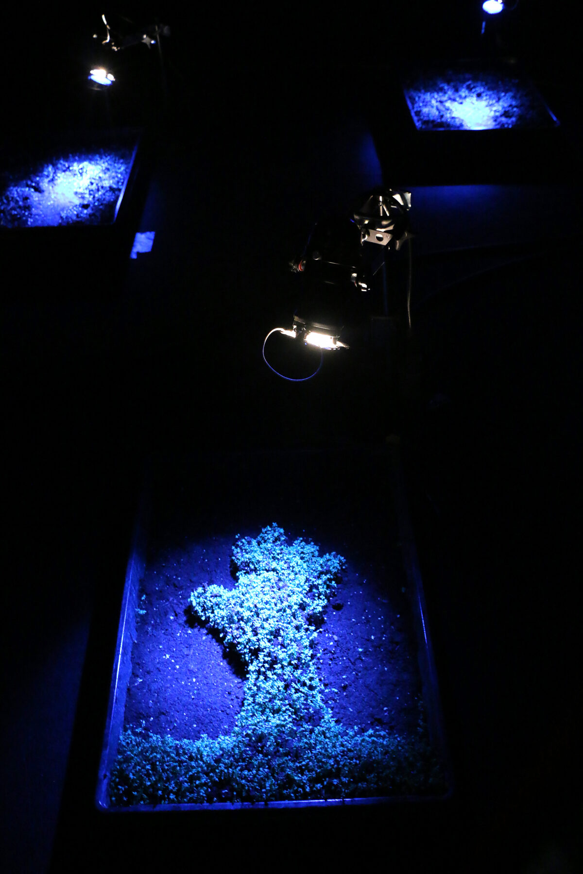 Impressio - Useful Fictions