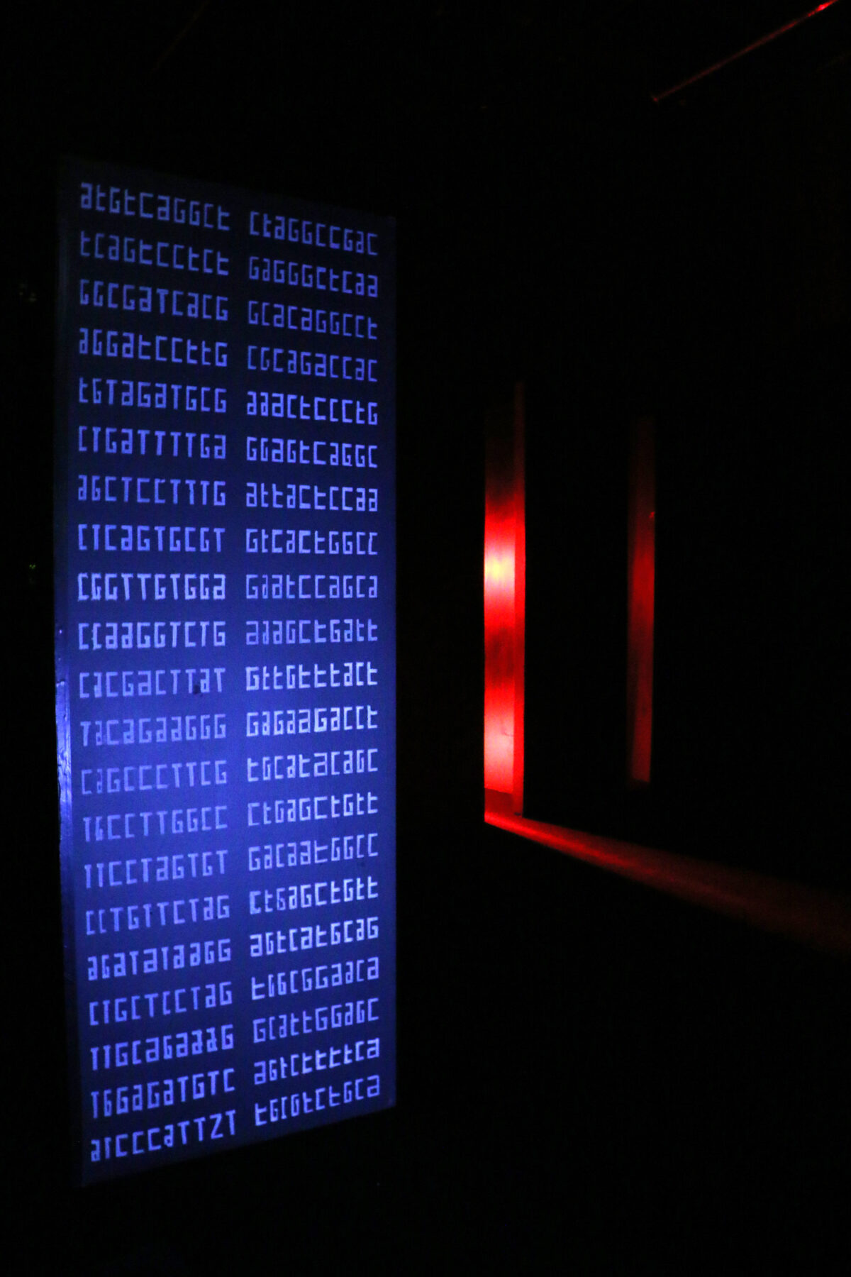 Impressio - Useful Fictions