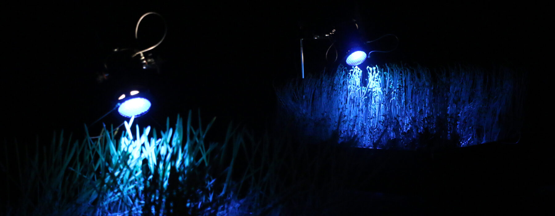 Impressio - Useful Fictions