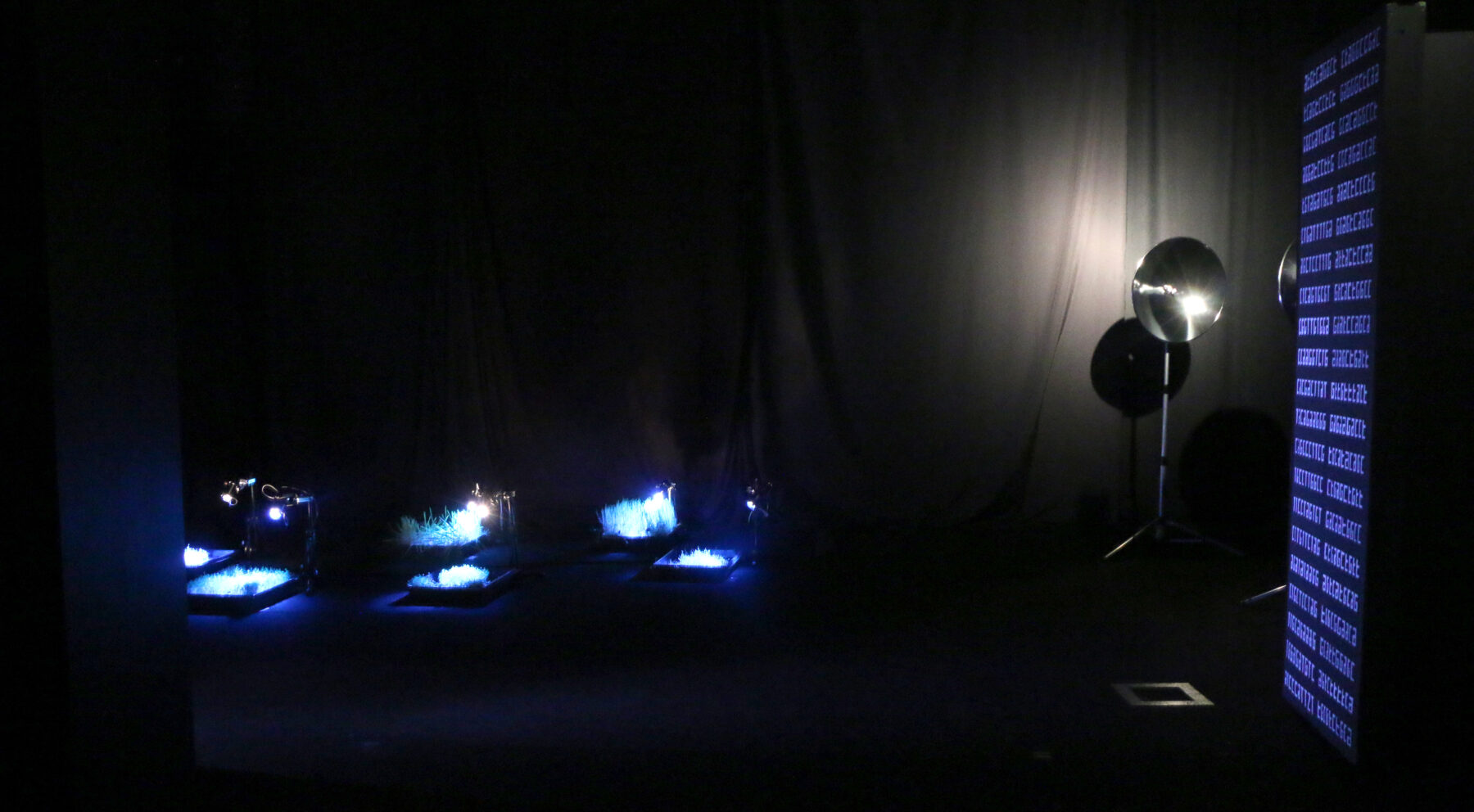 Impressio - Useful Fictions