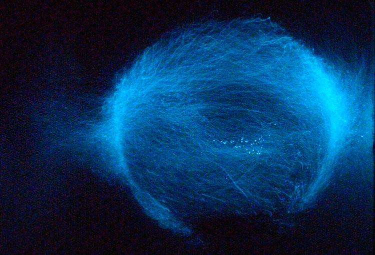 Silmarils - Useful Fictions