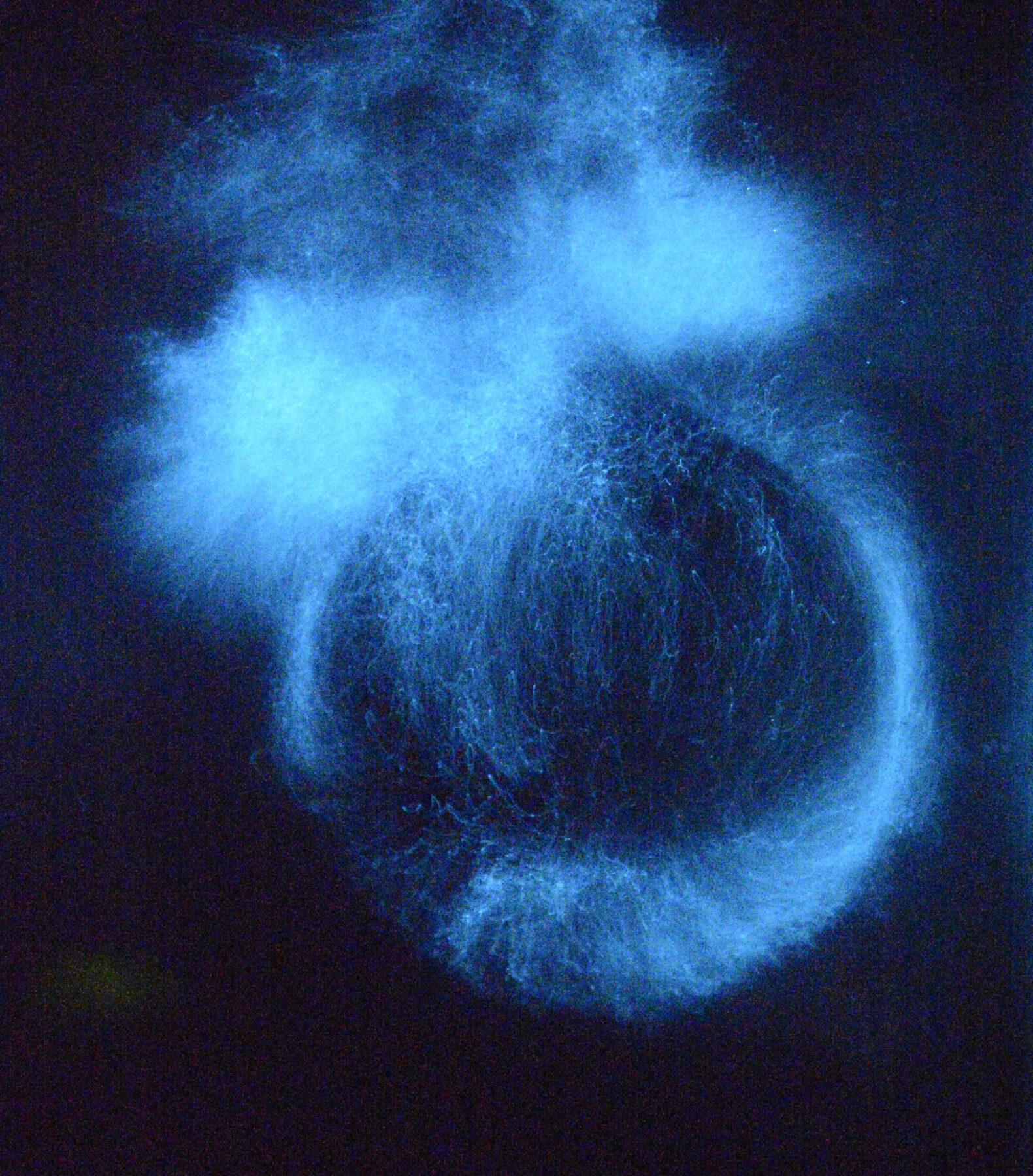 Incipit Temporis – Ici commence le Temps - Useful Fictions