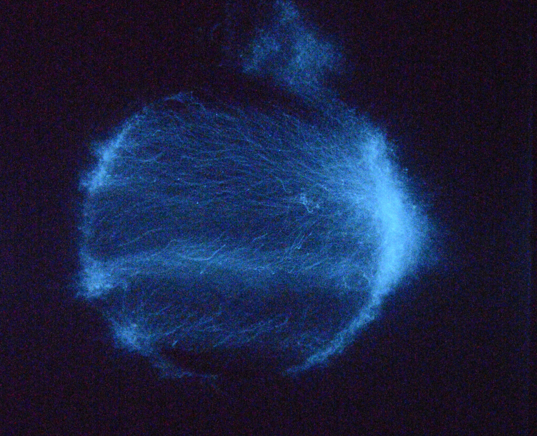 Silmarils - Useful Fictions