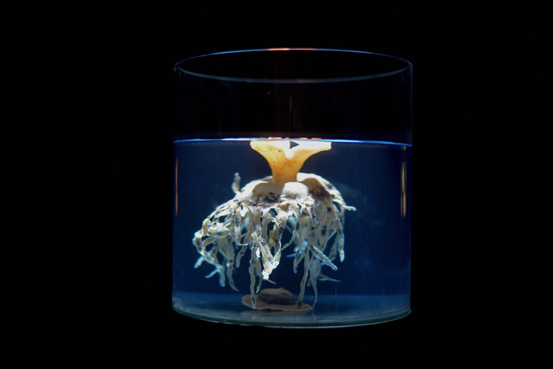 Useful Fictions •5 – Atmosphère, atmosphères - Useful Fictions