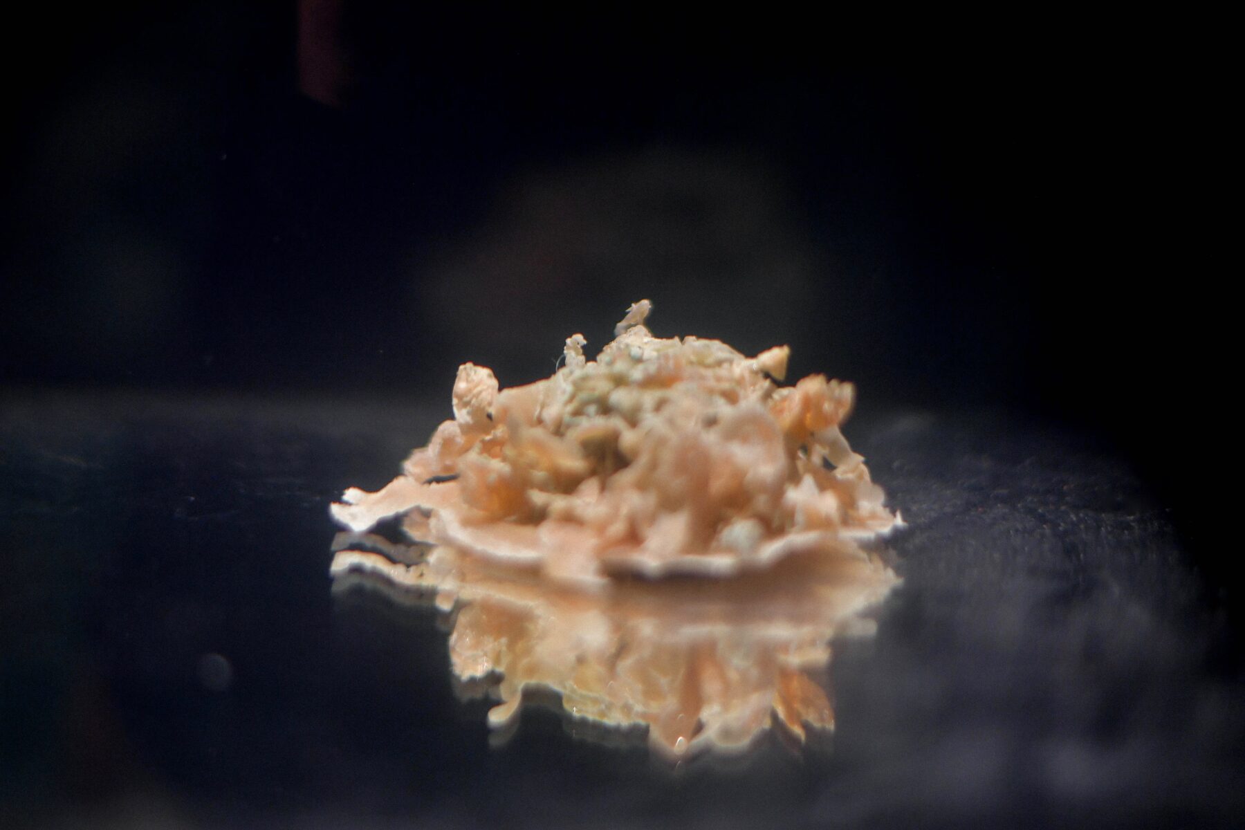 Useful Fictions •5 – Atmosphère, atmosphères - Useful Fictions