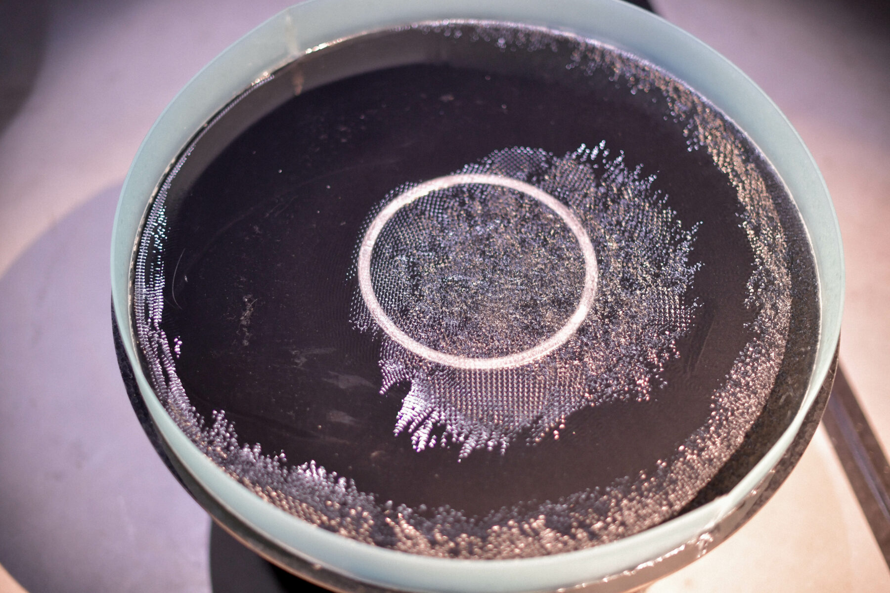 Useful Fictions •5 – Atmosphère, atmosphères - Useful Fictions