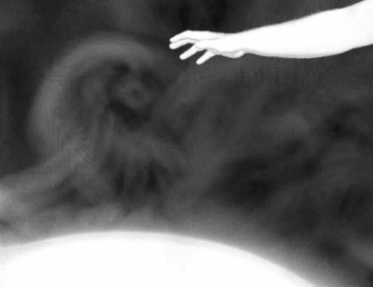 Microclimate of One - Useful Fictions