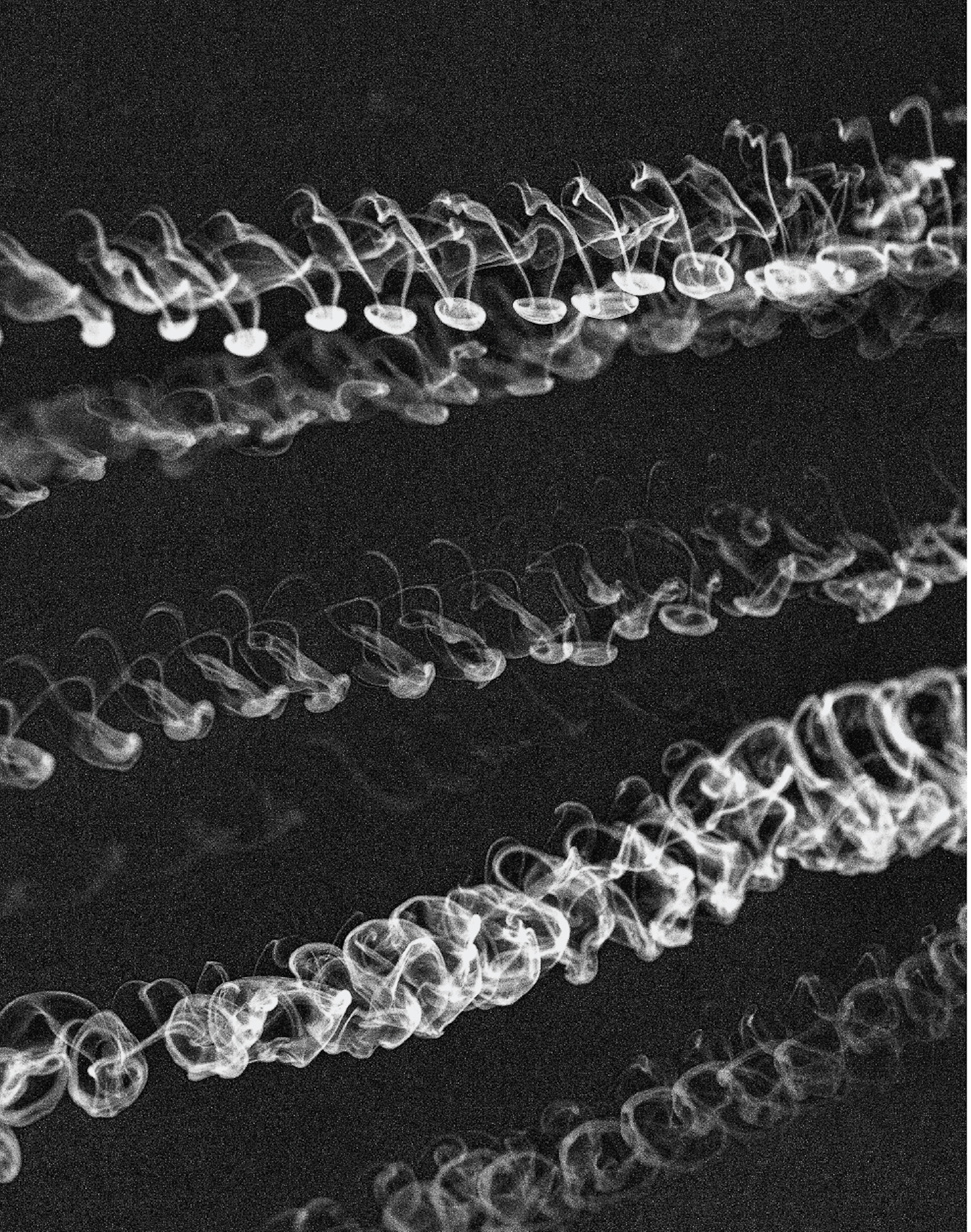 Et mainte page blanche entre ses mains froissée - Useful Fictions