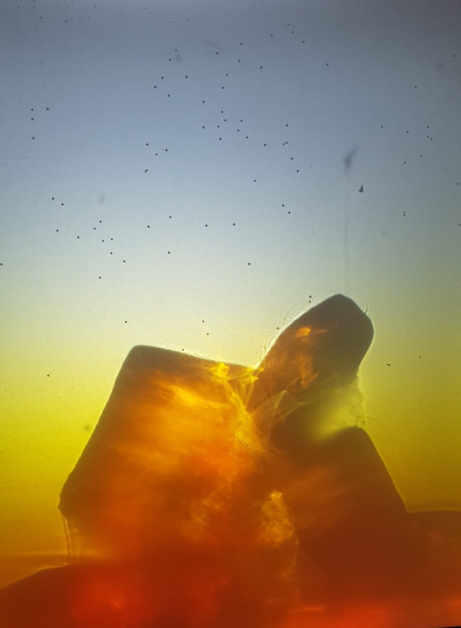 Irréversibles abstractions – Dissolution des mondes flottants - Useful Fictions