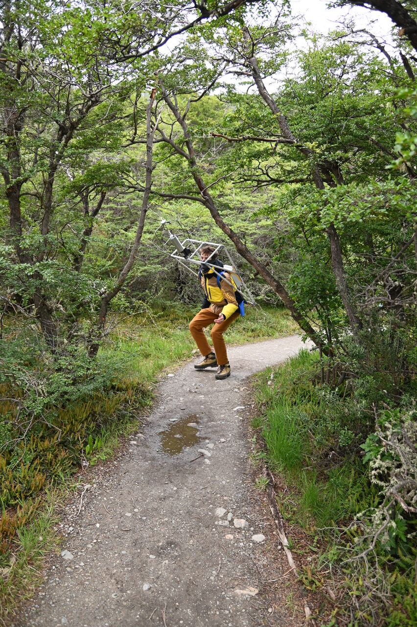 The Compass Rose - Useful Fictions