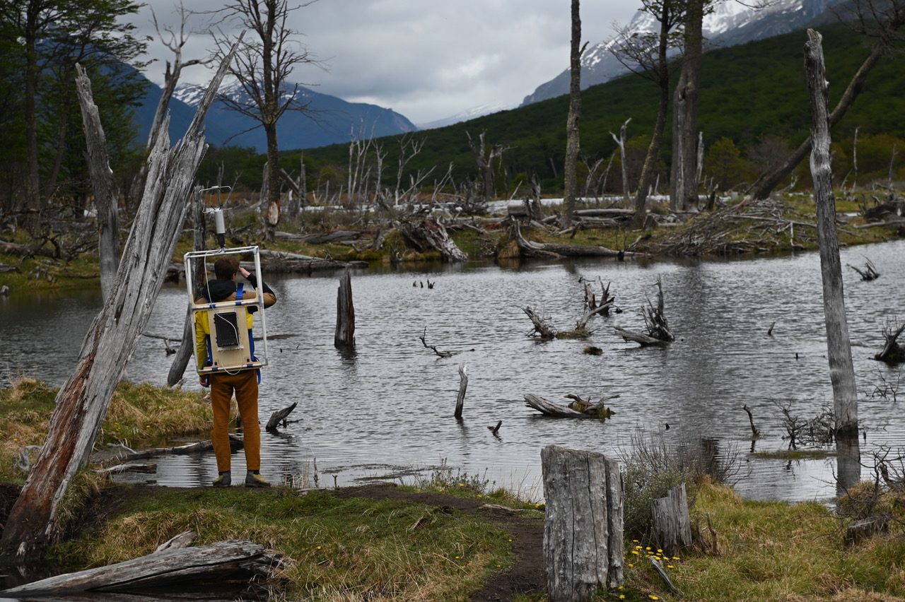 The Compass Rose - Useful Fictions