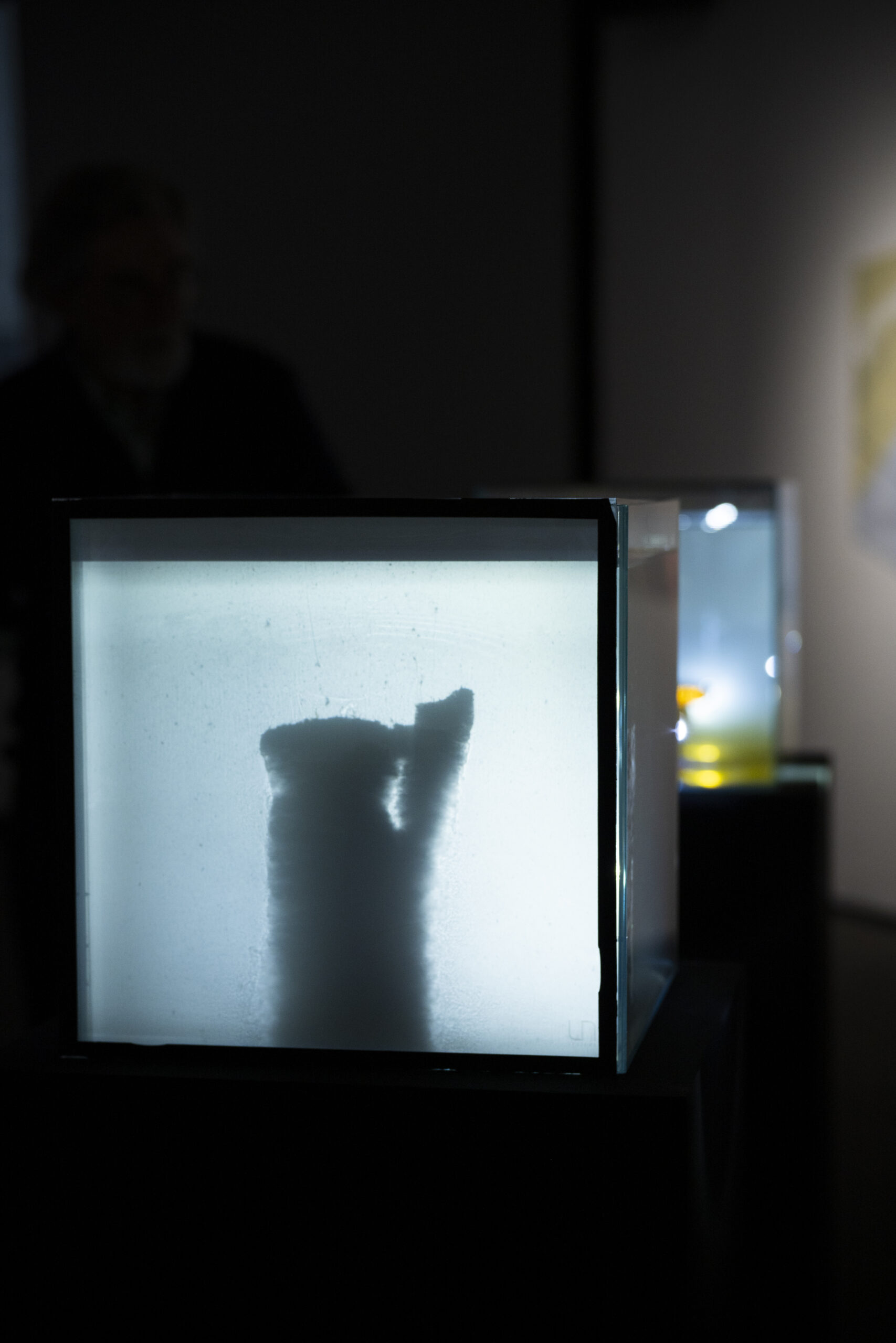 Irréversibles abstractions – Dissolution des mondes flottants - Useful Fictions