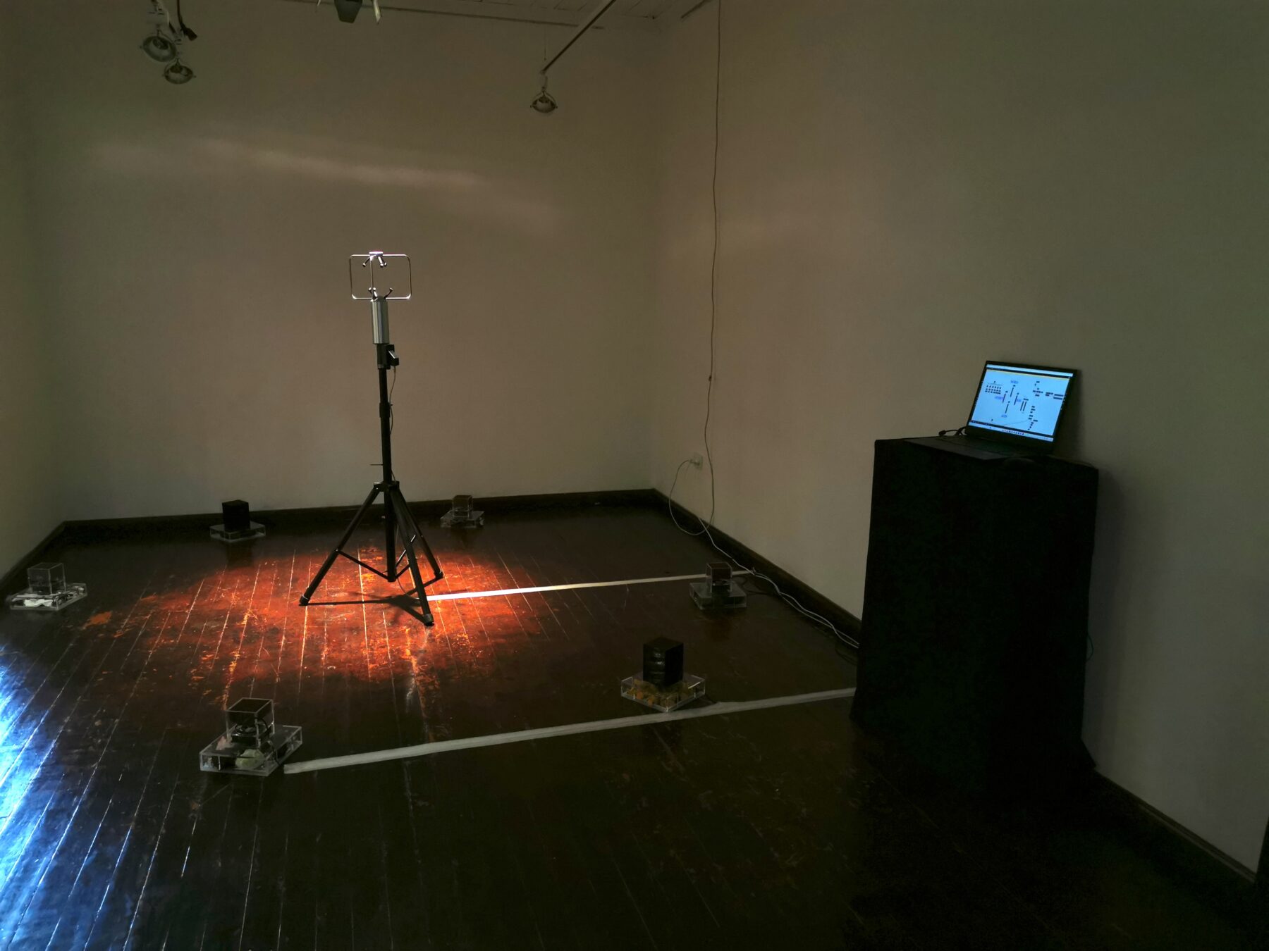 The Compass Rose - Useful Fictions