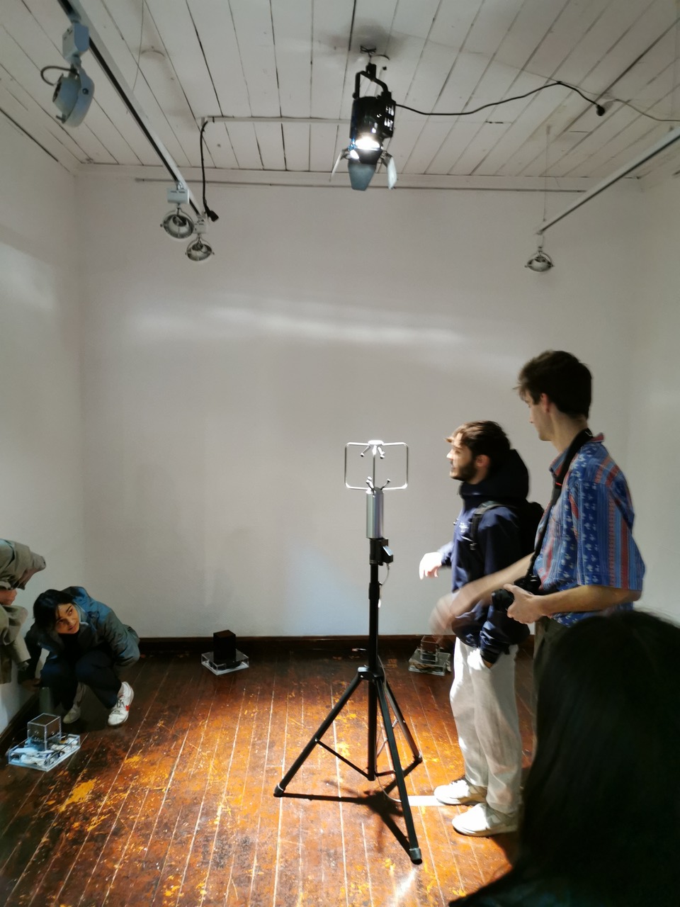 The Compass Rose - Useful Fictions