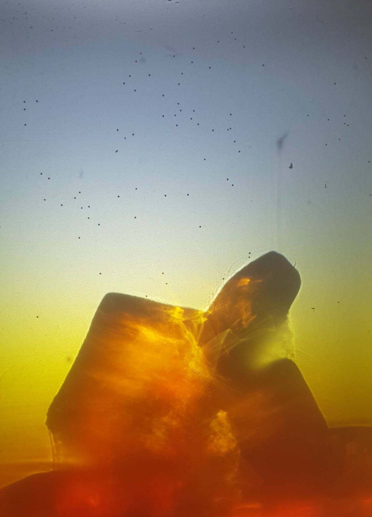 Irréversibles abstractions – Dissolution des mondes flottants - Useful Fictions