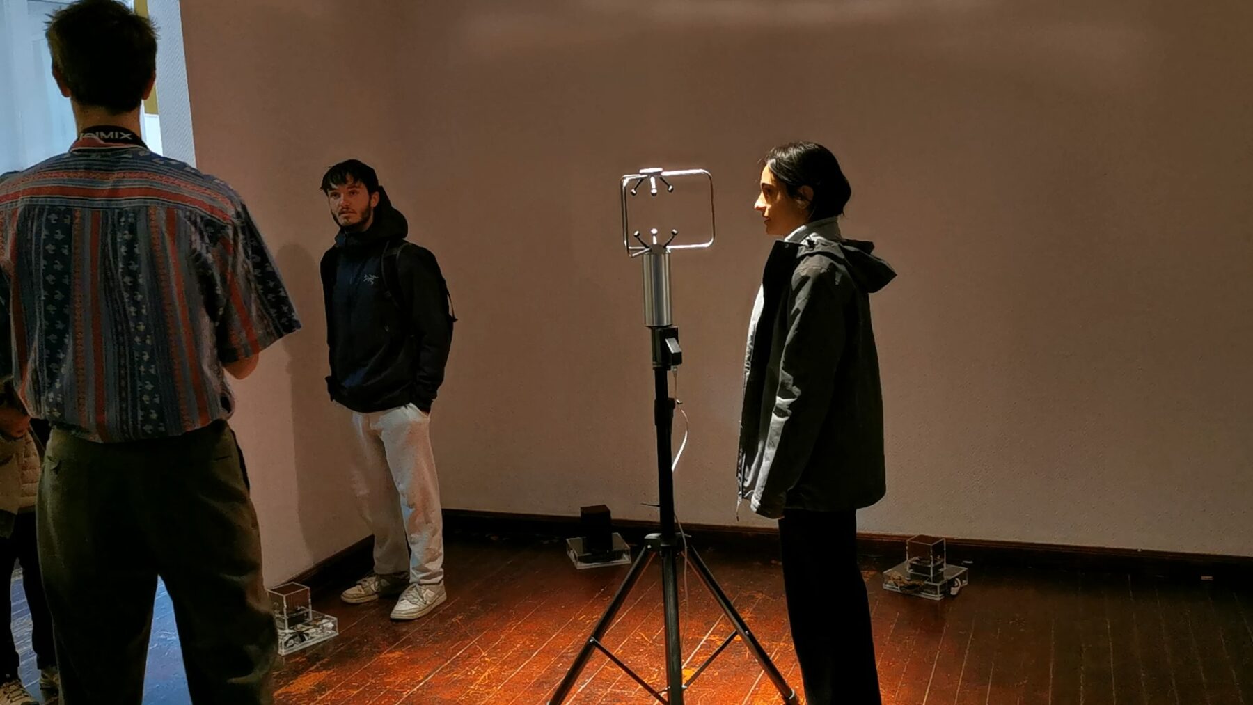 The Compass Rose - Useful Fictions