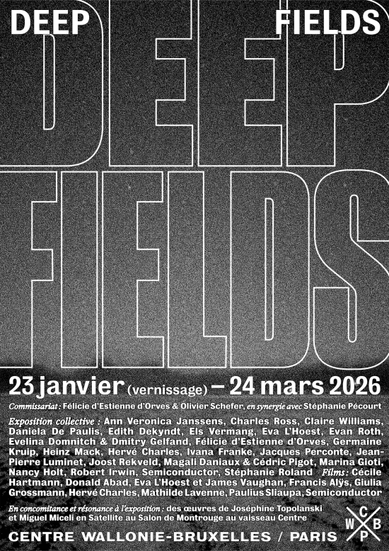 Deep Fields - Useful Fictions