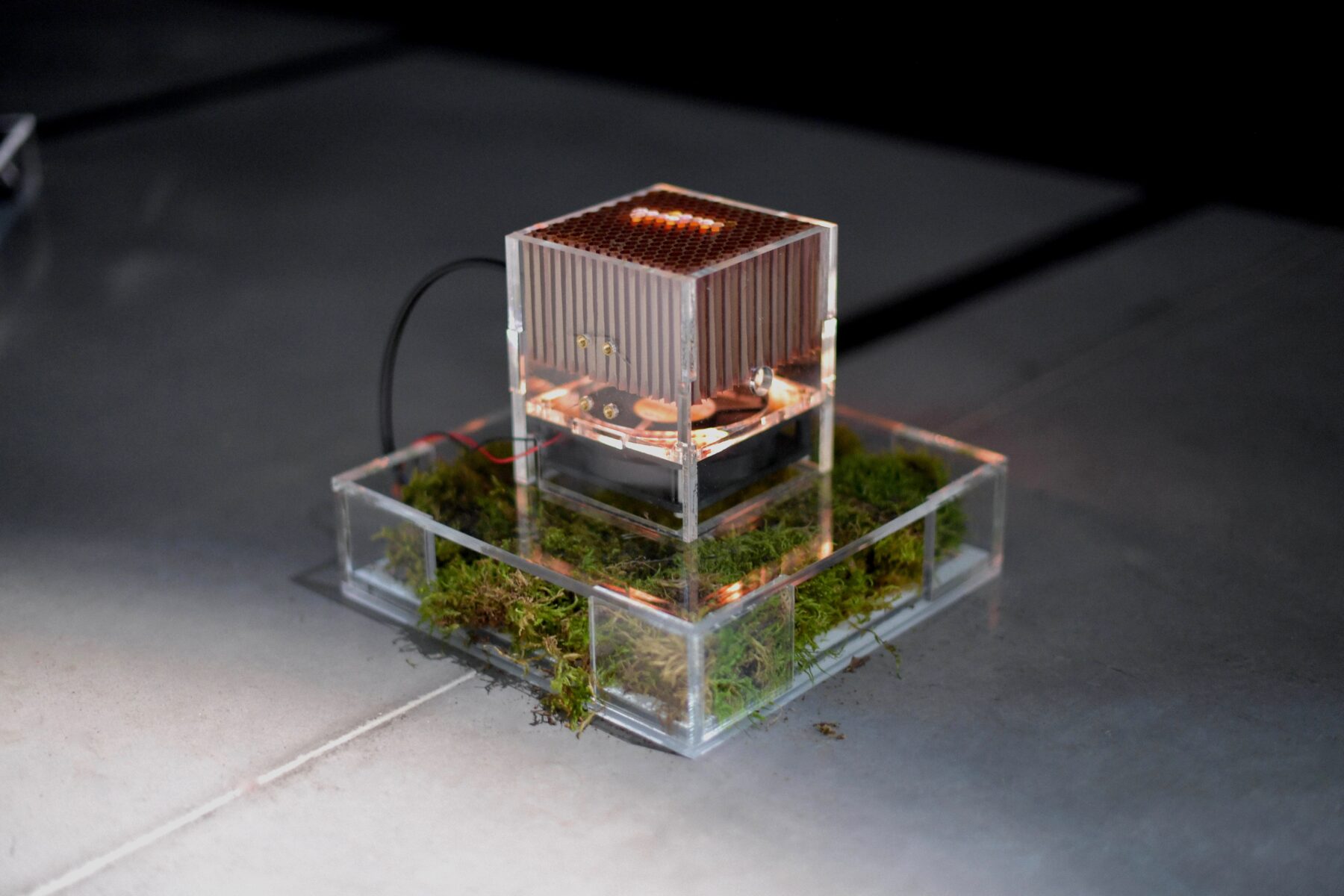 The Compass Rose - Useful Fictions