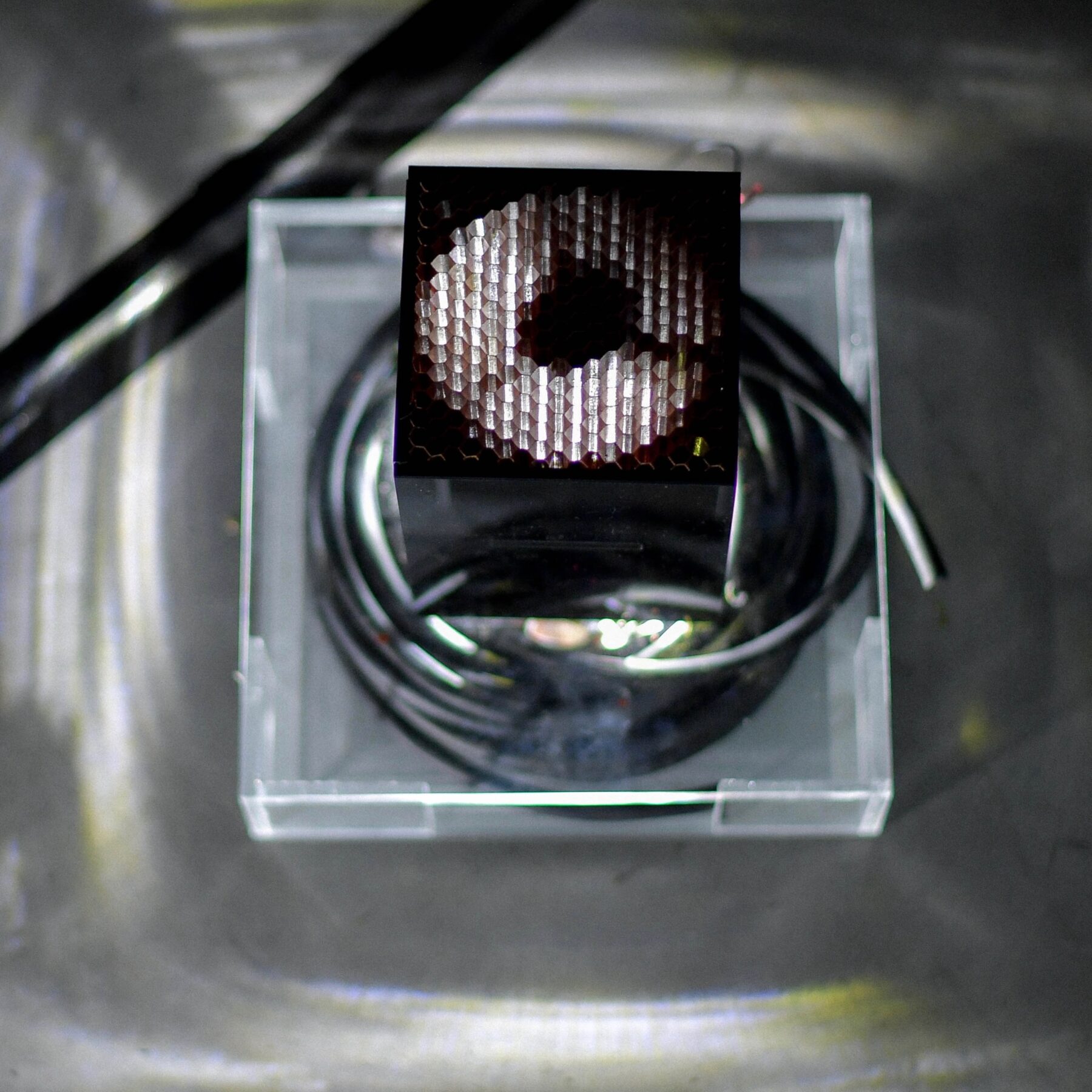 The Compass Rose - Useful Fictions