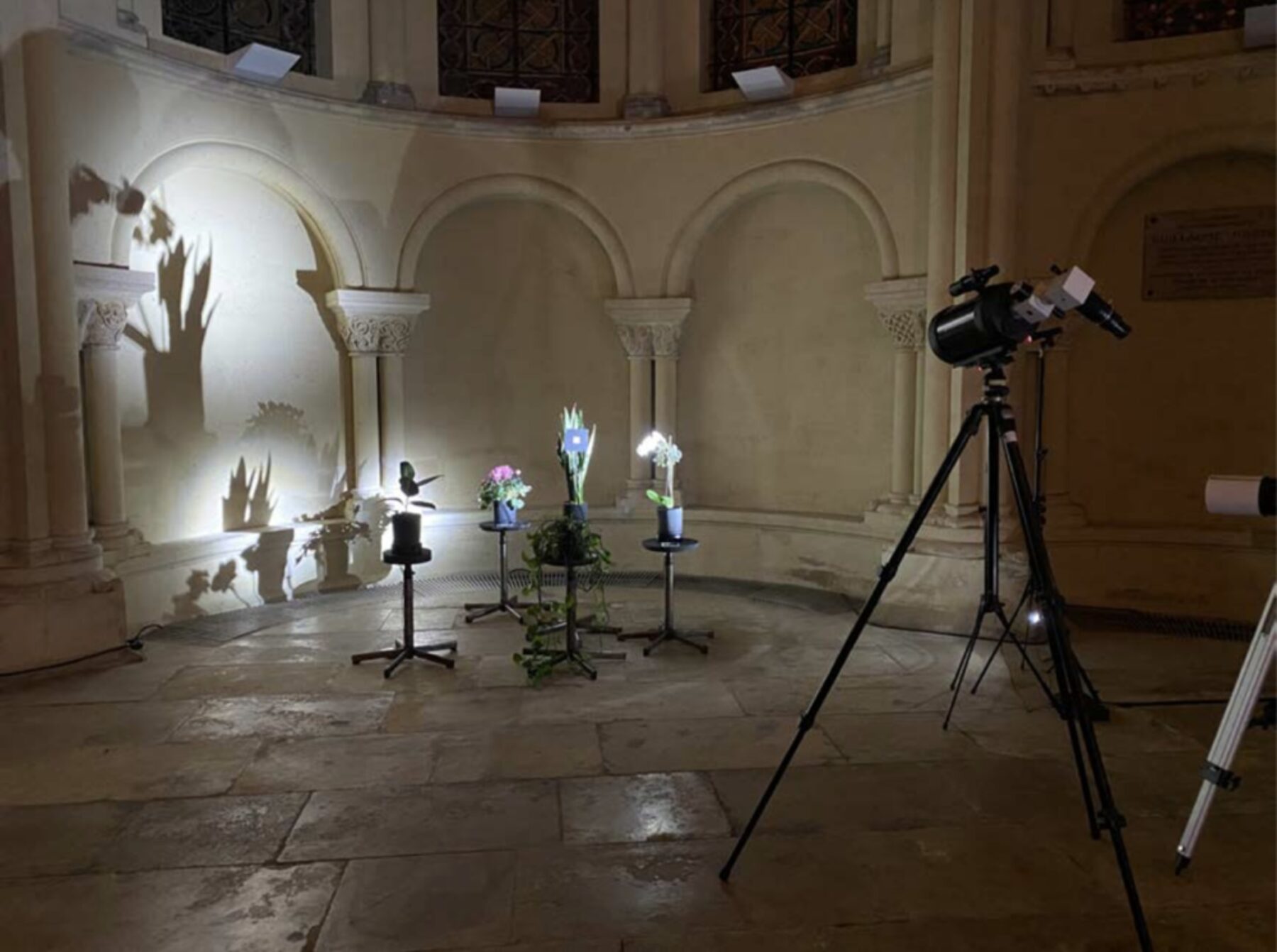 TÉLESCOPE D‘INTÉRIEUR - Useful Fictions