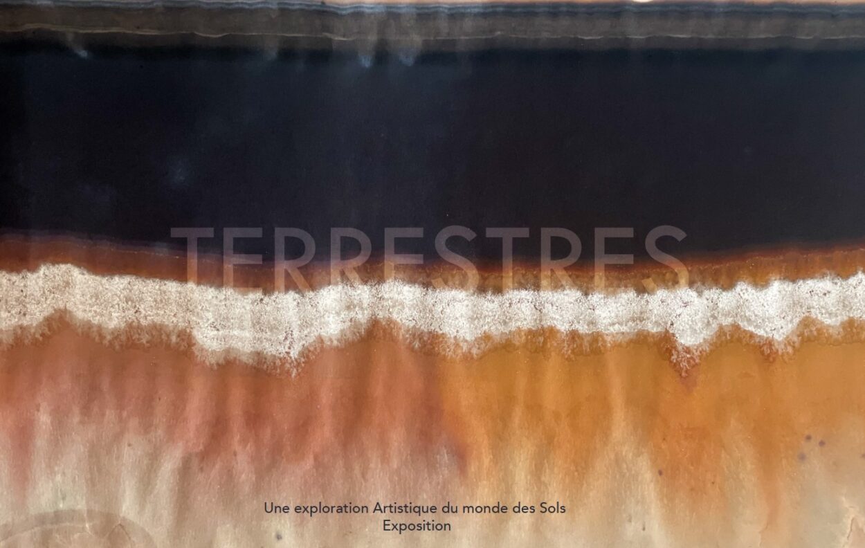 TERRESTRES, une exploration Artistique du monde des Sols - Useful Fictions