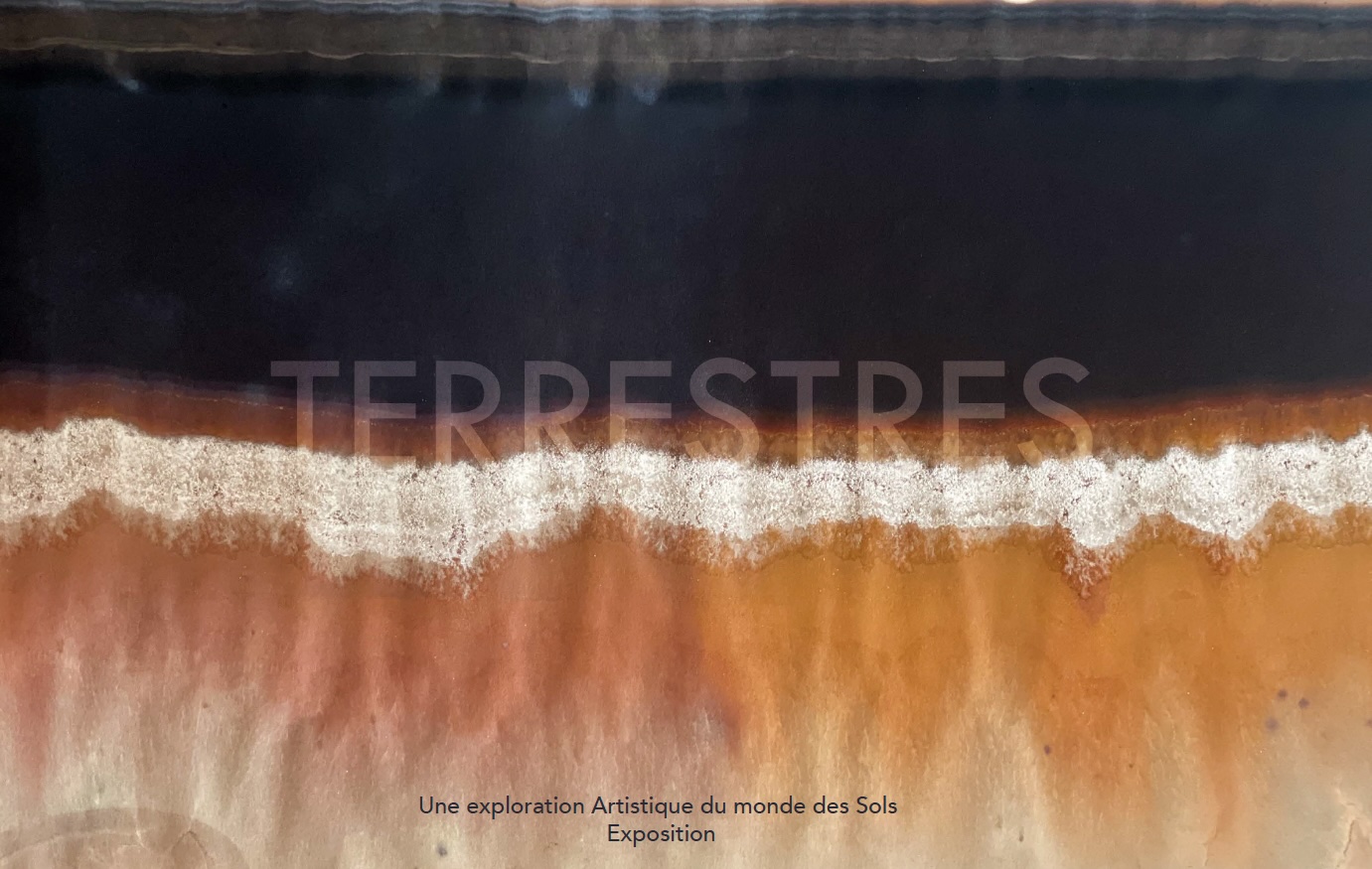 TERRESTRES, une exploration Artistique du monde des Sols - Useful Fictions