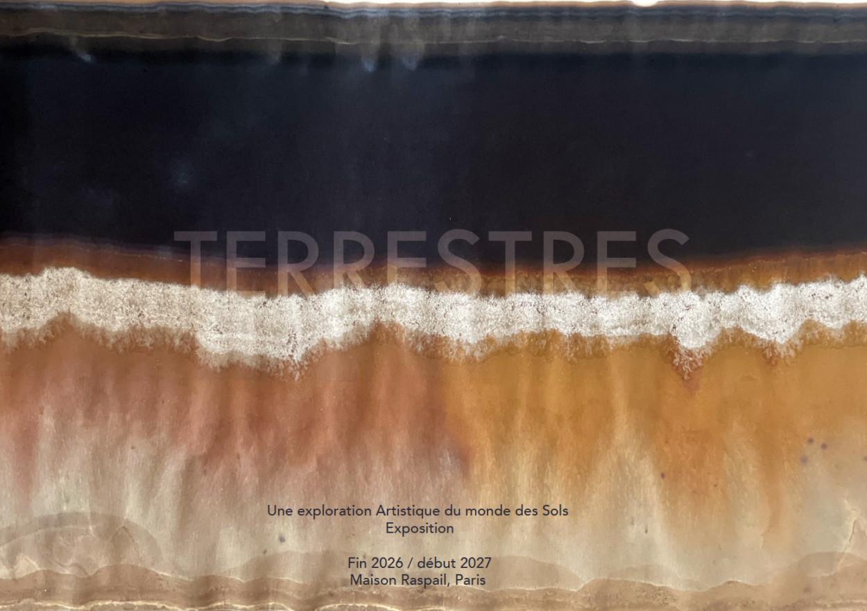 TERRESTRES, une exploration Artistique du monde des Sols - Useful Fictions