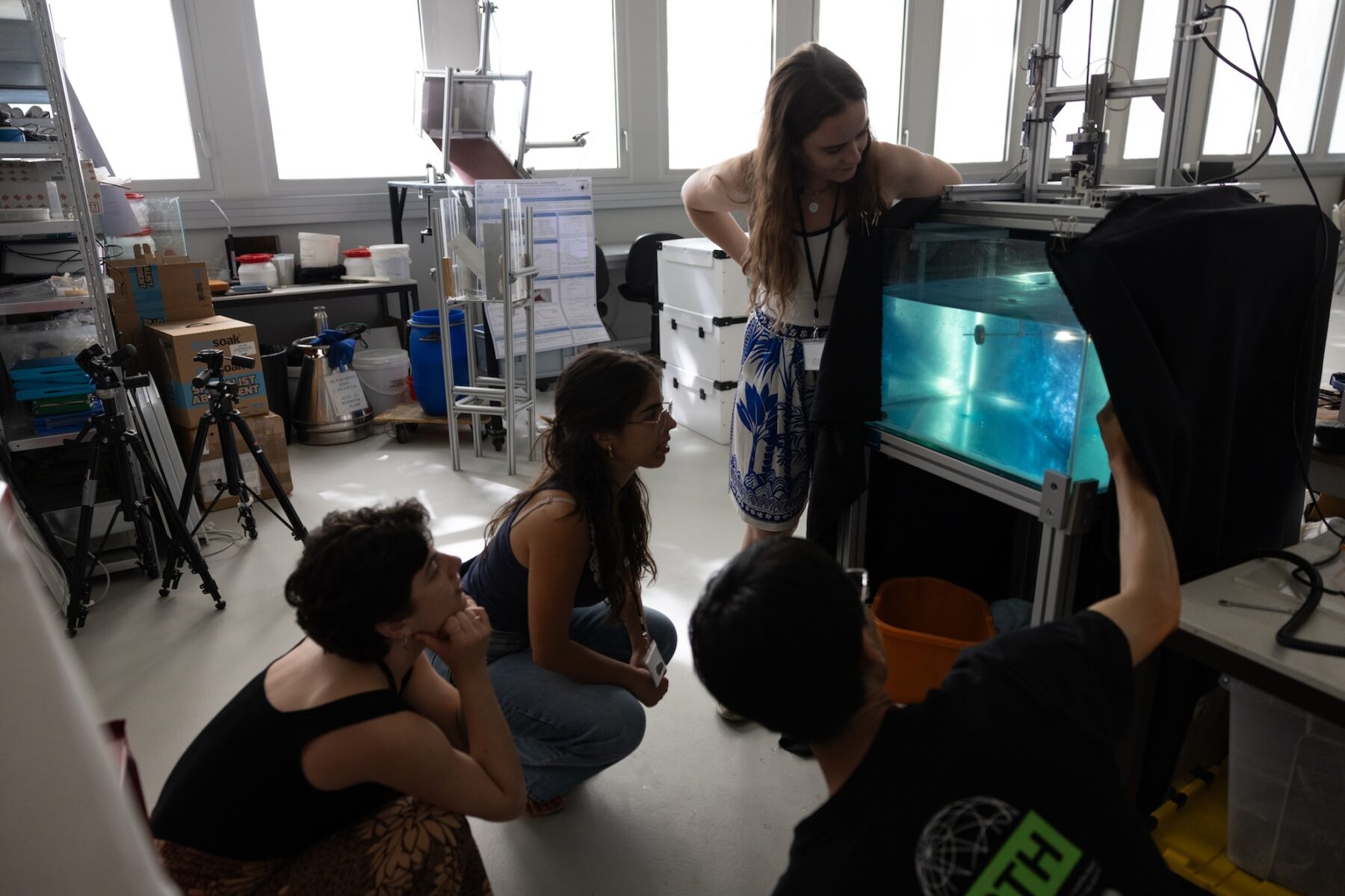 Summer School  Fluid Dynamics of Sustainability and the Environment - Useful Fictions